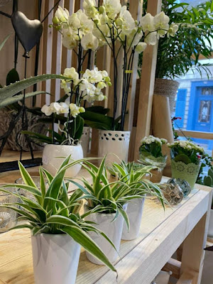 Céline Art et Fleurs à Avesnes-le-Comte