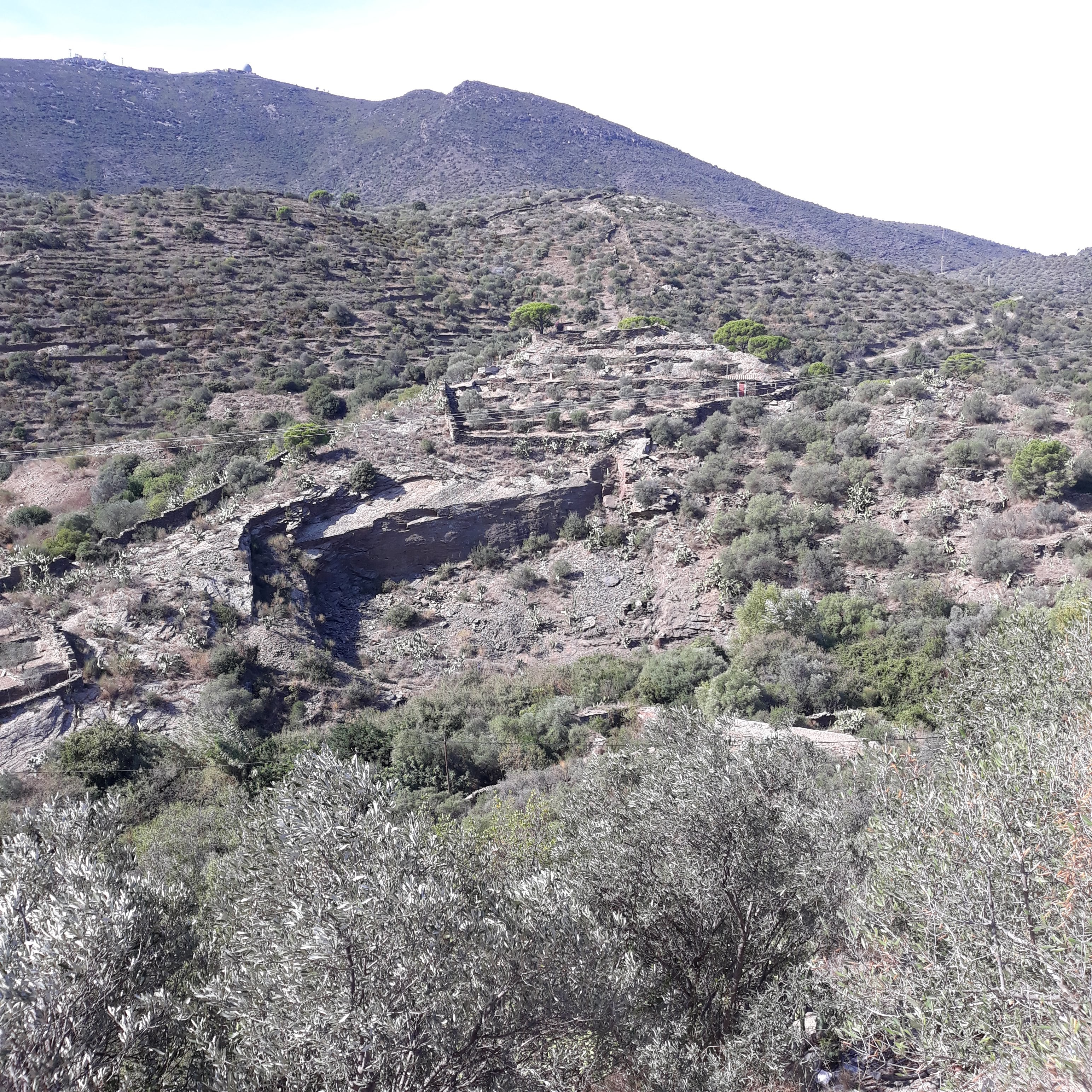 Photo n° 13 de l'avis de bruno. fait le 30/10/2021 à 14:12