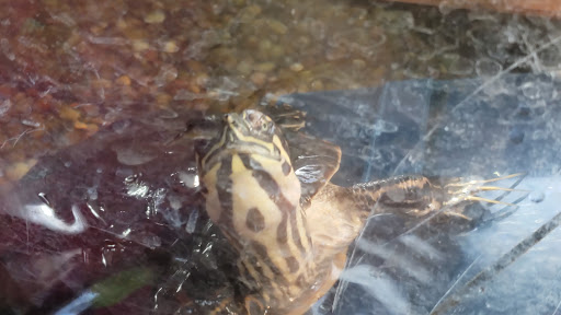 Nature Preserve «Cool Spring Preserve», reviews and photos, 1469 Lloyd Rd, Charles Town, WV 25414, USA