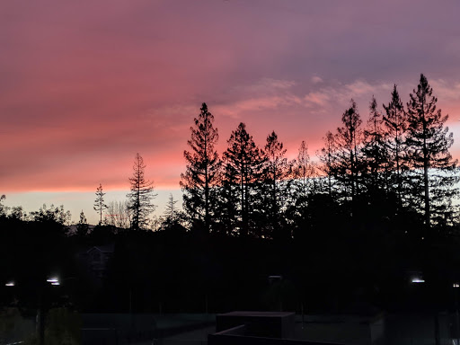 Bay Club Courtside image