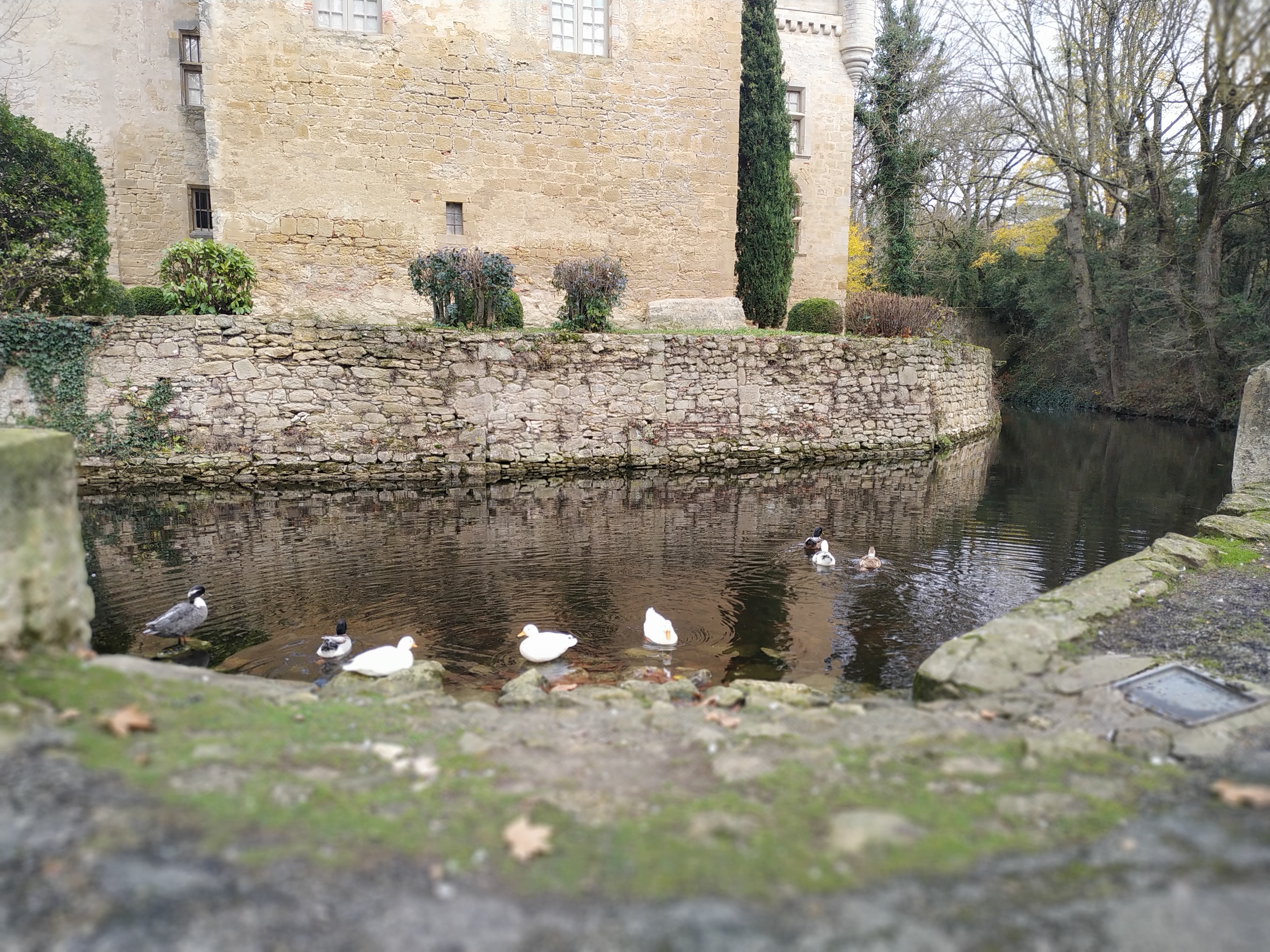 Photo n° 5 de l'avis de Nuri. fait le 01/12/2021 à 19:24
