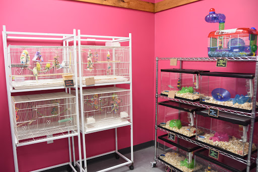 Pet Supply Store «Animal House Pet Supplies», reviews and photos, 733 Phillips Blvd, Sauk City, WI 53583, USA