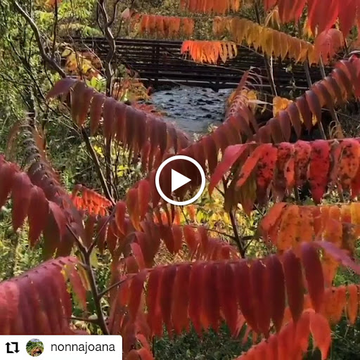 Winery «Chankaska Creek Ranch & Winery», reviews and photos, 1179 E Pearl St, Kasota, MN 56050, USA