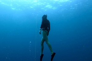 Liv For The Sea Freediving image