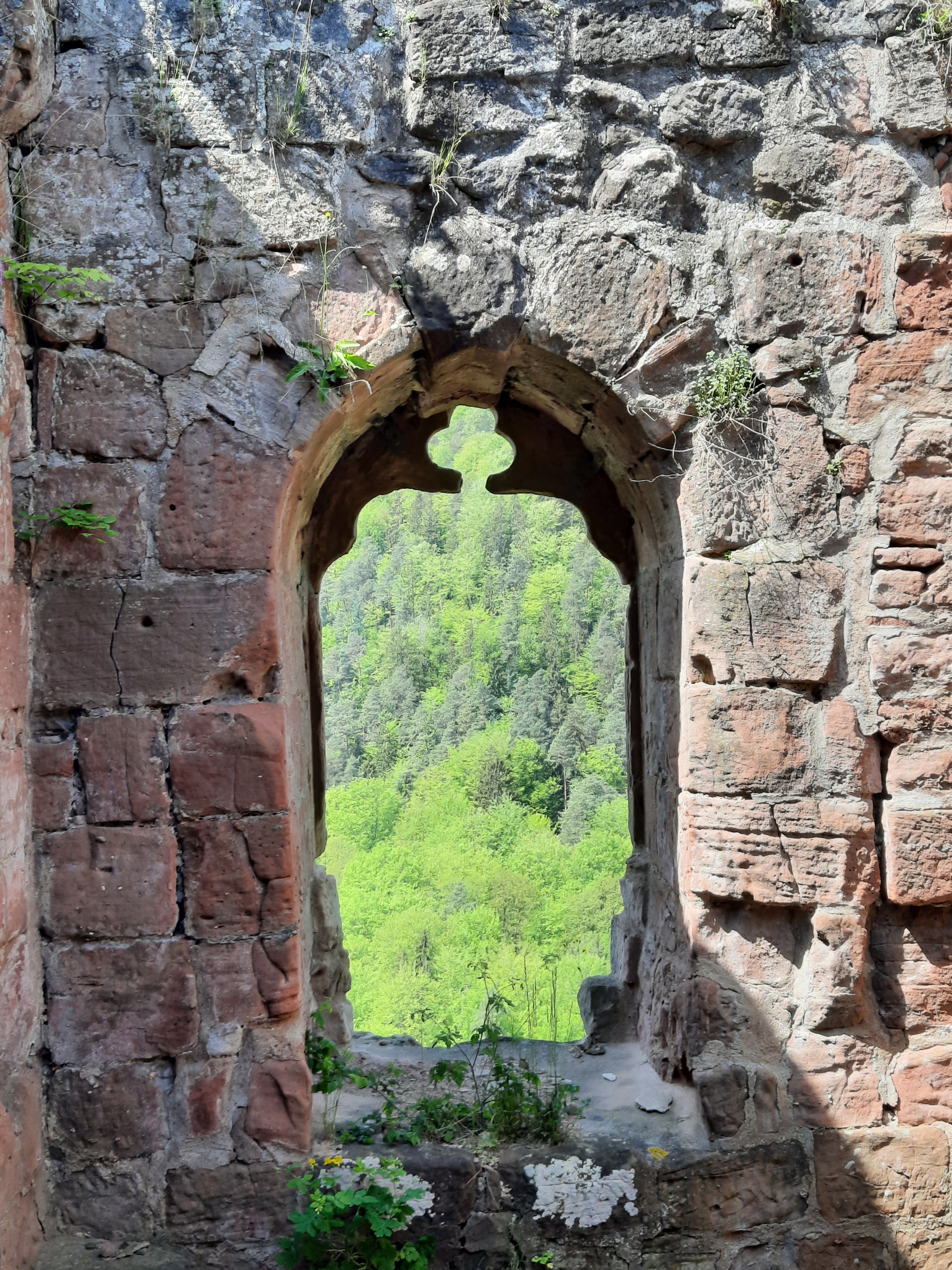 Photo n° 1 de l'avis de Diego.a fait le 08/05/2022 à 11:32