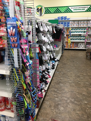 Dollar Store «Dollar Tree», reviews and photos, 1041 Vine St, Healdsburg, CA 95448, USA