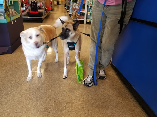 Pet Supply Store «PetSmart», reviews and photos, 1671 E Market St, Harrisonburg, VA 22801, USA