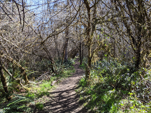 Fern Ridge Wildlife Area