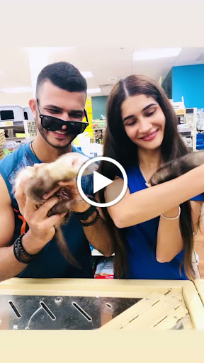 Pet Store «Pet Supermarket, Inc.», reviews and photos, 1938 FL-44 #40, New Smyrna Beach, FL 32168, USA