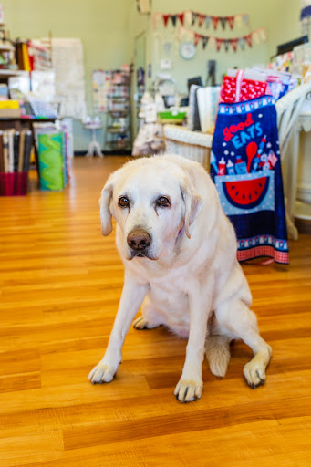 Fabric Store «Fabric Garden», reviews and photos, 2654 Marconi Ave STE 155, Sacramento, CA 95821, USA