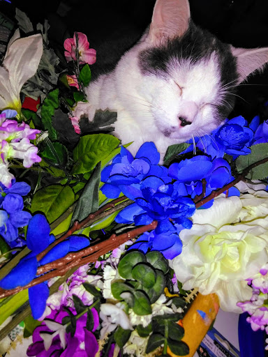 Craft Store «Michaels», reviews and photos, 339 Washington Rd, Washington, PA 15301, USA