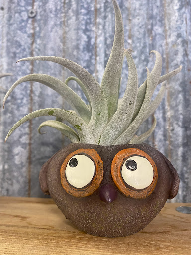 Toy Store «Great Turtle Toys», reviews and photos, Main St, Mackinac Island, MI 49757, USA