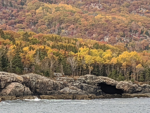 Whale Watching Tour Agency «Bar Harbor Whale Watch Co», reviews and photos, 1 West St, Bar Harbor, ME 04609, USA