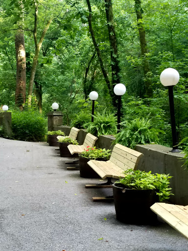 Non-Profit Organization «Lost River Cave», reviews and photos, 2818 Nashville Rd, Bowling Green, KY 42101, USA