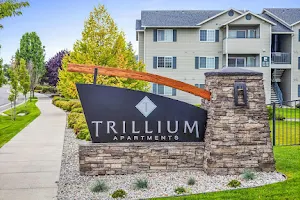 Trillium Apartments image