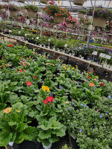 Plant Nursery «Blooming Acres», reviews and photos, 7561 State Rd, Wadsworth, OH 44281, USA