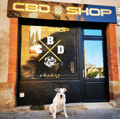 CBD Shop France Toulouse