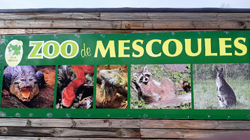 attractions Zoo Refuge de Mescoules/Bergerac Mescoules