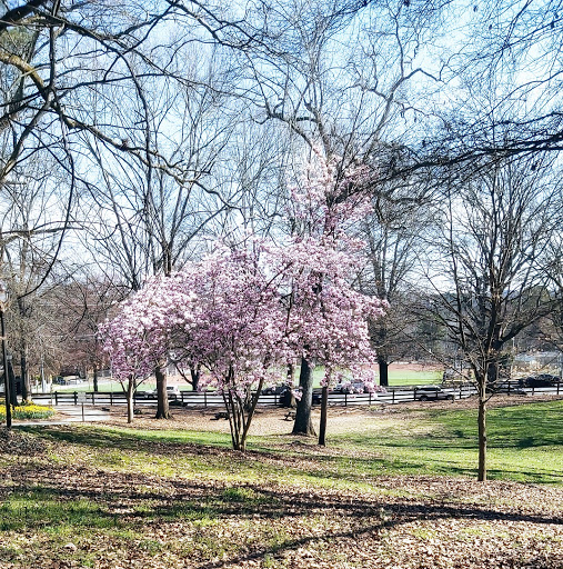 Park «Chastain Memorial Park», reviews and photos, 140 W Wieuca Rd NW, Atlanta, GA 30342, USA