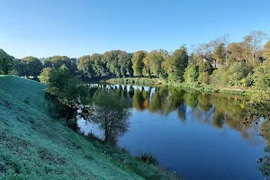 Etang Torigni image