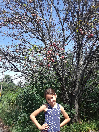 Golf Course «Old Salem Greens Golf Course», reviews and photos, 75 Wilson St, Salem, MA 01970, USA