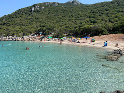 Photo de Plage d'Ammos situé dans une zone naturelle