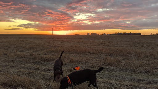 Northern Hills Veterinary Clinic Small Animal