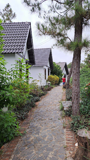 Top 20 cửa hàng doraemon Huyện Phú Ninh Quảng Nam 2022