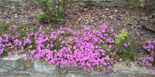 Park «Webber Park», reviews and photos, 4300 Webber Pkwy, Minneapolis, MN 55412, USA