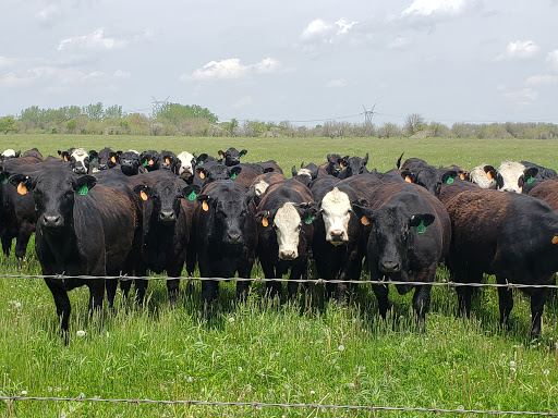 Nature Preserve «Midewin National Tallgrass Prairie», reviews and photos, 30239 S. State Route 53, Wilmington, IL 60481, USA