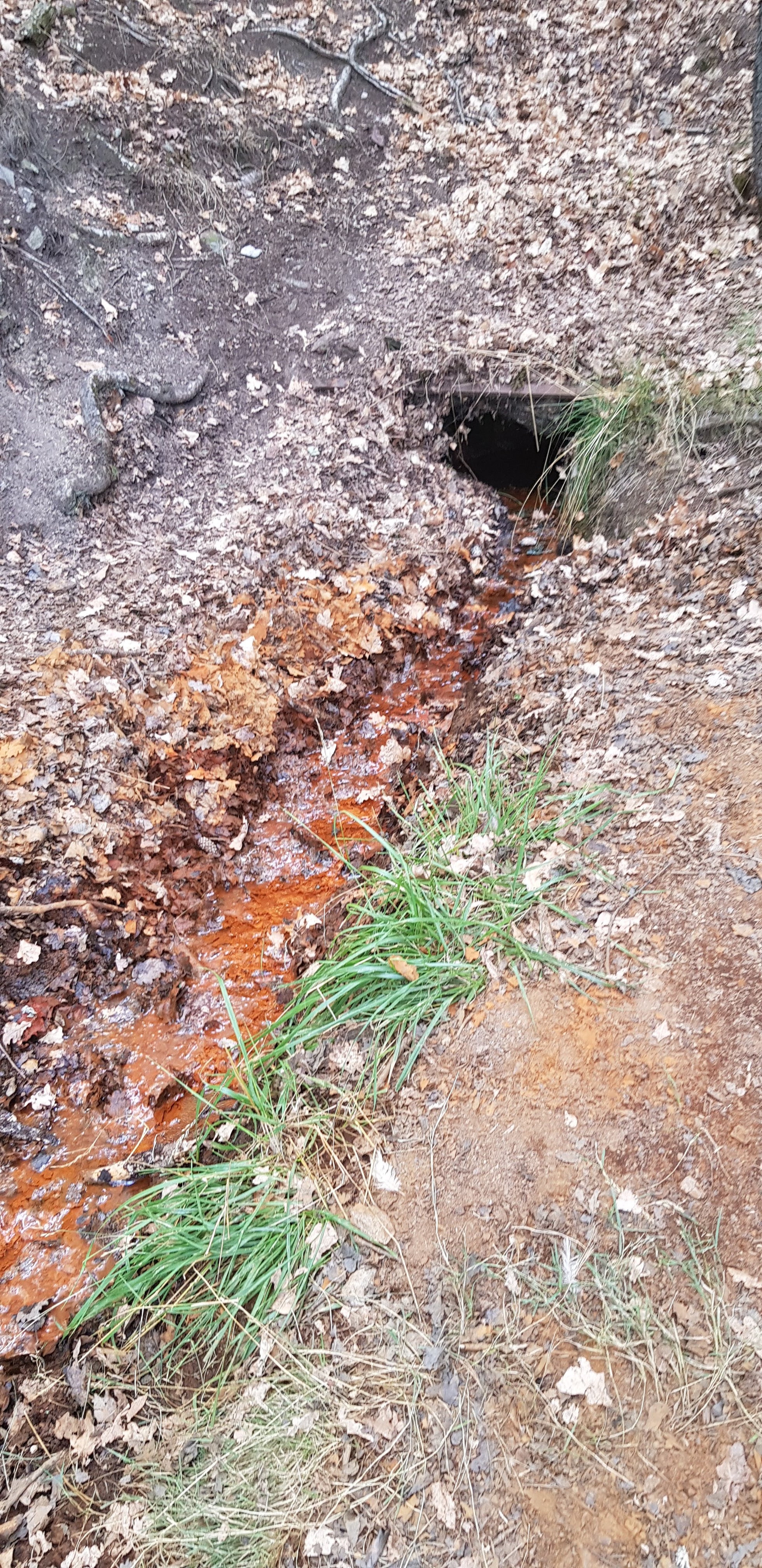 Photo n° 2 de l'avis de PETERLONGO.e fait le 19/08/2019 à 19:16