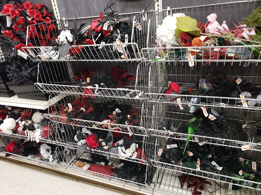 Craft Store «Michaels», reviews and photos, 150 W Lowry Ln #170, Lexington, KY 40503, USA