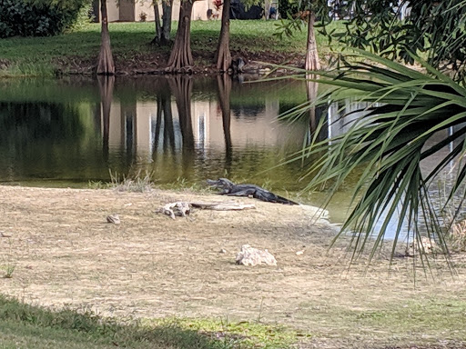 Golf Club «Stoneybrook Golf Club», reviews and photos, 21251 Stoneybrook Golf Blvd, Estero, FL 33928, USA