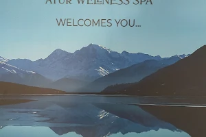 La Vida Ayur Wellness Spa image