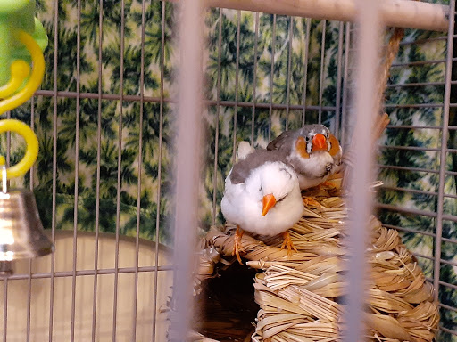 Pet Supply Store «PetSmart», reviews and photos, 8281 Troy Pike, Huber Heights, OH 45424, USA