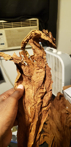 Tobacco Shop «Leaf Only», reviews and photos, 440 Middlefield St, Middletown, CT 06457, USA