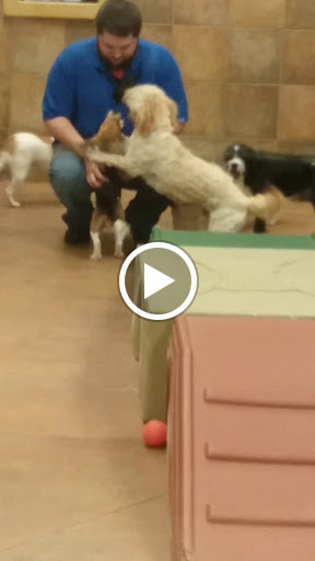 Pet Supply Store «PetSmart», reviews and photos, 3500 S Glenstone Ave, Springfield, MO 65804, USA