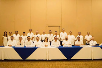 APROCEMAAC Asociación de Profesionistas en Comercio Exterior de Manzanillo A.C.