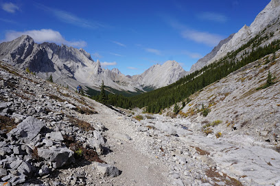 Rae Glacier Trail