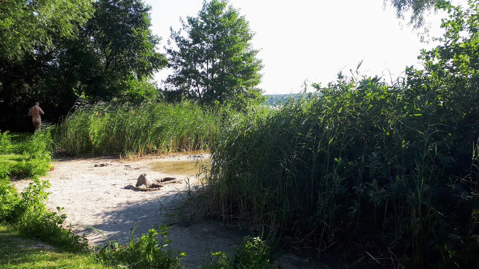 Foto van FKK Strand Motzen met hoog niveau van netheid