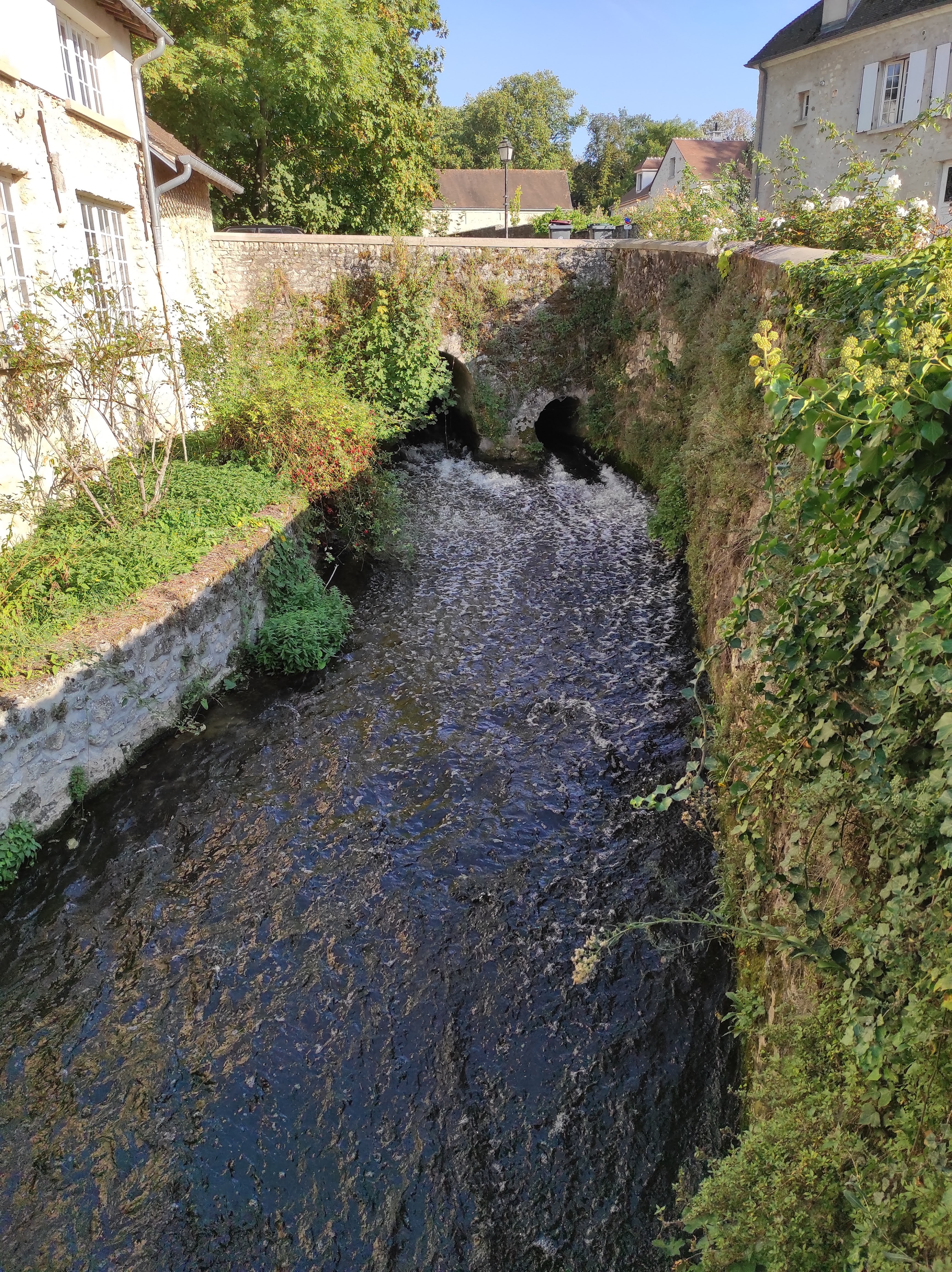 Photo n° 12 de l'avis de Patrick.e fait le 11/09/2023 à 16:48