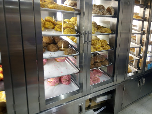 Grocery Store «El Zocalo Supermarket», reviews and photos, 452 US-17, Haines City, FL 33844, USA