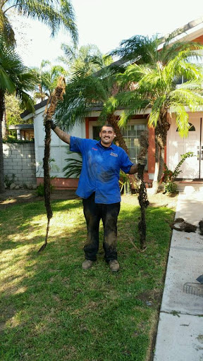 Plumber «STEEL PLUMBING & DRAIN EXPERTS», reviews and photos, 7892 Elwood Pl, Fontana, CA 92336, USA