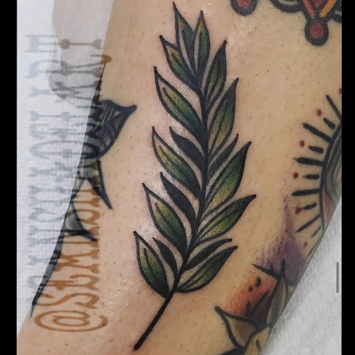 Explore cardinal tattoo ideas, creative tattoo ideas in Jupiter, available at Moth And Moon Tattoo