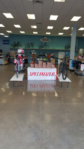 Bicycle Store «Paradise Bicycles», reviews and photos, 9377 6 Mile Cypress Pkwy, Fort Myers, FL 33966, USA