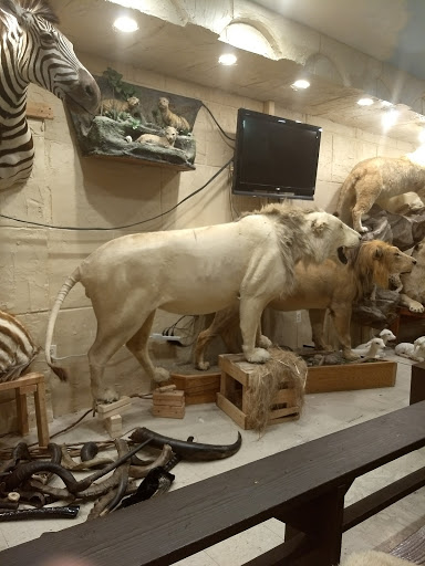 Museum «Living Torah Museum», reviews and photos, 1603 41st St, Brooklyn, NY 11218, USA