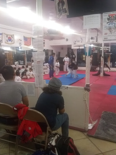 The ultimate Taekwondo fighters academy and MMA Academy