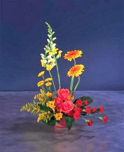 Florist «New Tampa Florist», reviews and photos, 15310 Amberly Dr #250, Tampa, FL 33647, USA