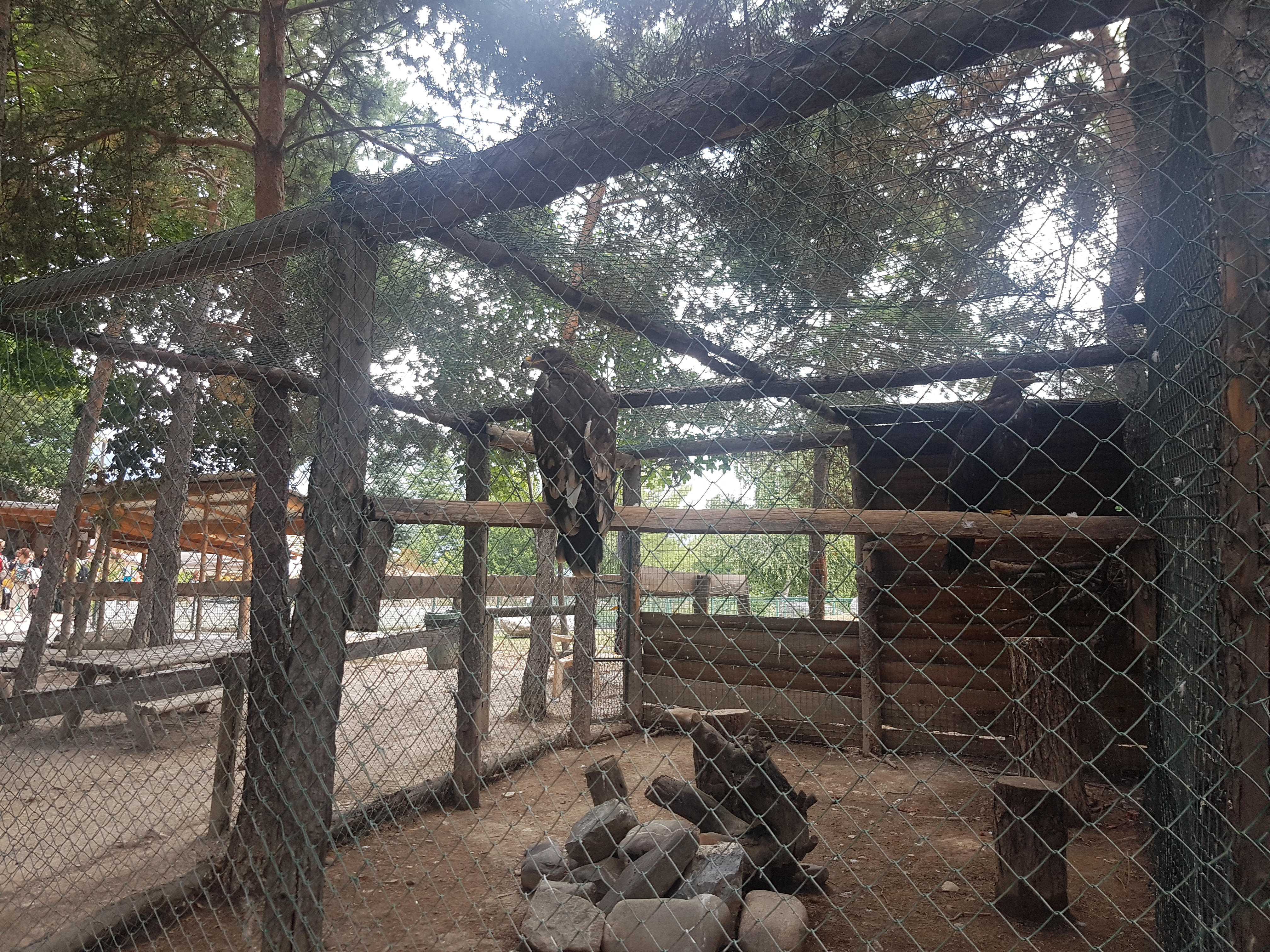 Photo n° 5 de l'avis de Boby.w fait le 22/08/2019 à 17:58