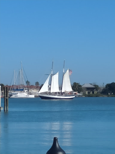 Tourist Attraction «Black Raven Pirate Ship», reviews and photos, 111 Avenida Menendez, St Augustine, FL 32084, USA